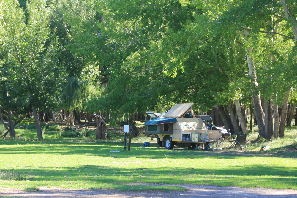 Melton Wold Guest Farm campsite.