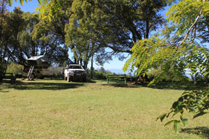 Vumba Botanic Gardens National Park campsite.