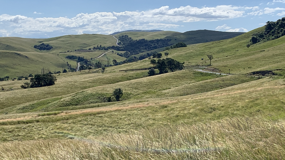 Grassland and trees with the road winding its way across the hillsides.