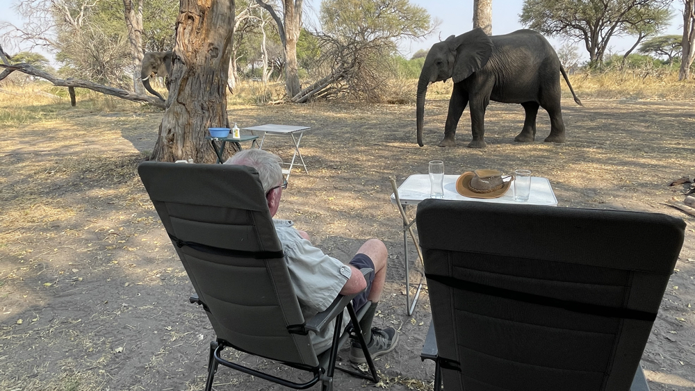 Kevin sitting watching as an elephant passed by about 15 metres away.
