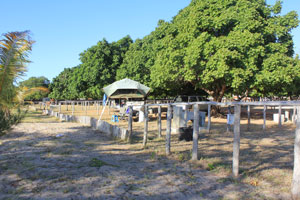 Inhassoro. Hotel Seta campsite.