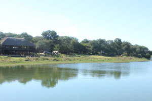 Antelope Park campsite.