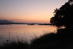Mana Pools National Park. Nyamepi Camp campsite.