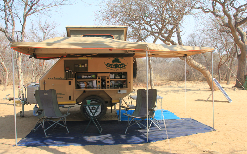 Bush Lapa Vlooi van