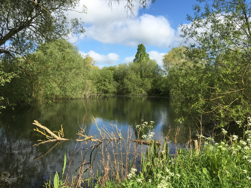 One of the lakes at Emberton Park.