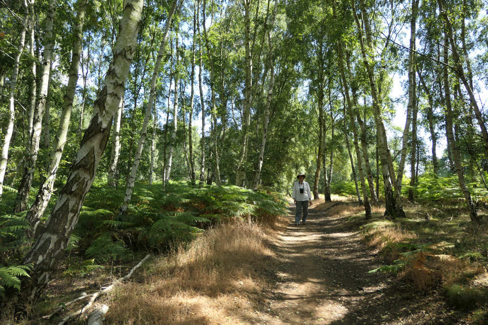 Michelle on one of the paths through the trees.