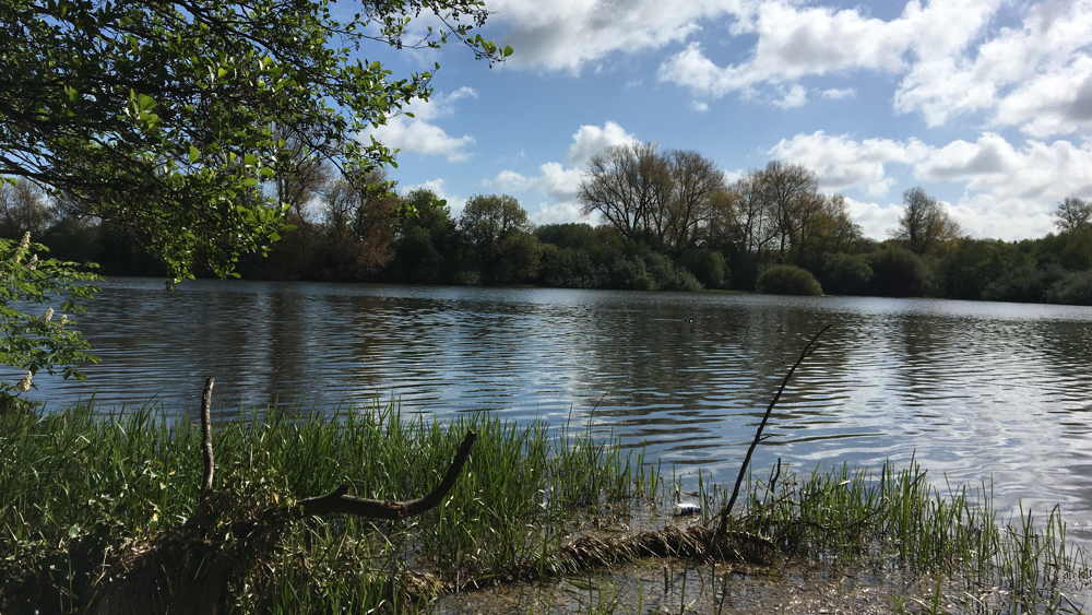 One of the rerservoirs.