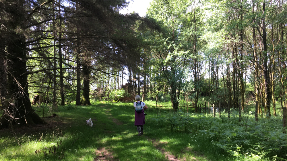 Jella and Gracie walking through the woods.