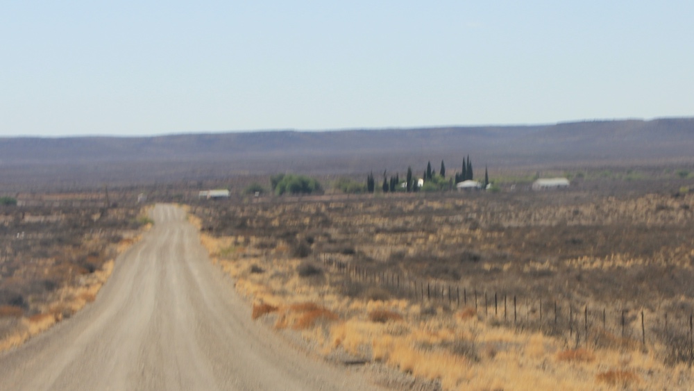 A group of trees is usually a sign of a farmhouse.