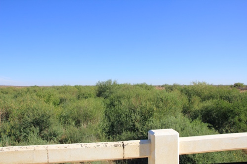 green bushes were in a dry river bed.