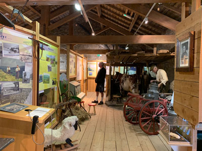 Displays in the useum
