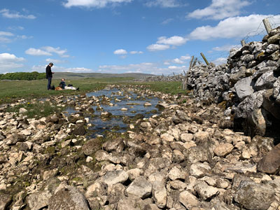 Near Malham Tarn this stream disappears underground.