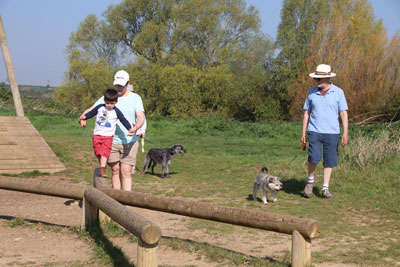 Bertie on a balance beam at the adventure playground