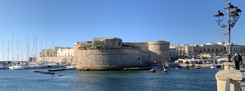 the old town with the castle in the foreground.