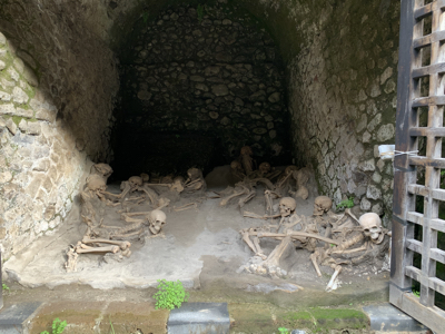  Fiberglass reproductions of the skeletons in one of the boat houses.