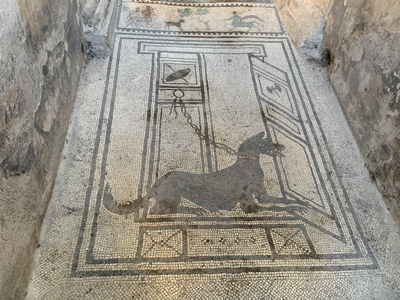 A mosaic floor