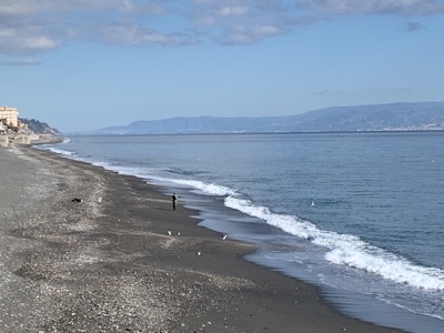The beach