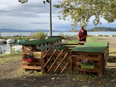 A lovely home for the local cats!