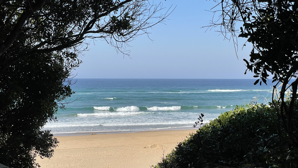 Ou first view of the sea from the top of the dunes.