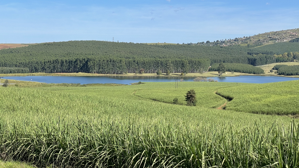 Beaulieu Dam with forests behind.