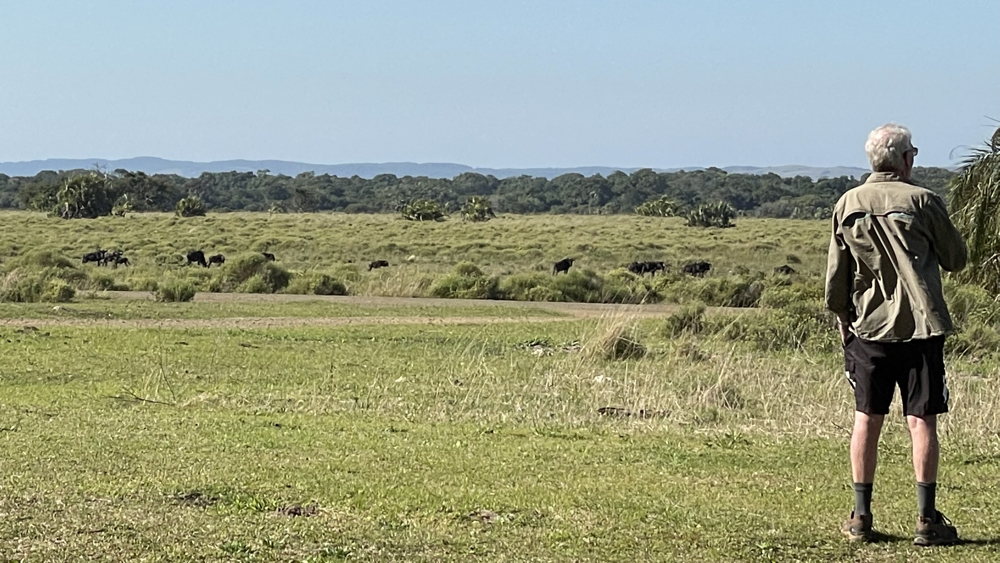 Kevin watching some animals from the picnic spot.