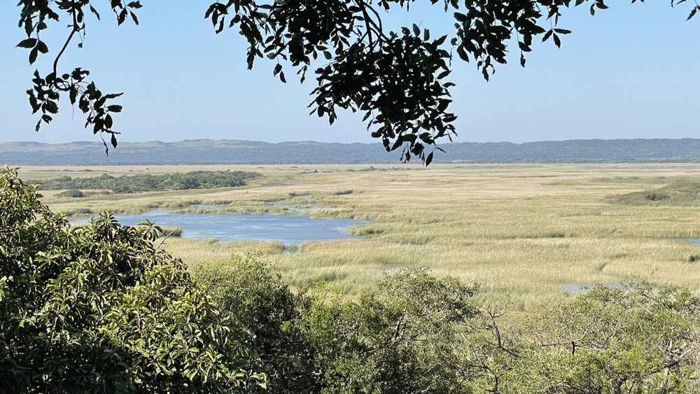 Looking East from the boardwalk lookout point.