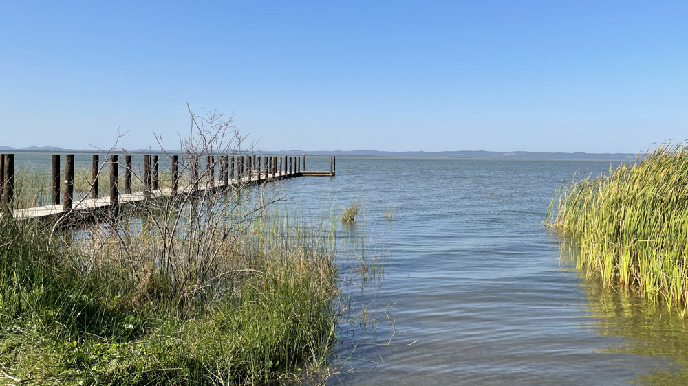 The jetty at Charter's Creek.