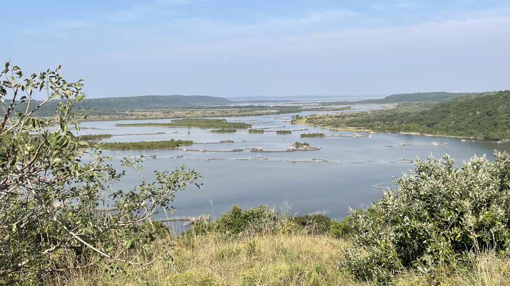 A view of the lagoon.