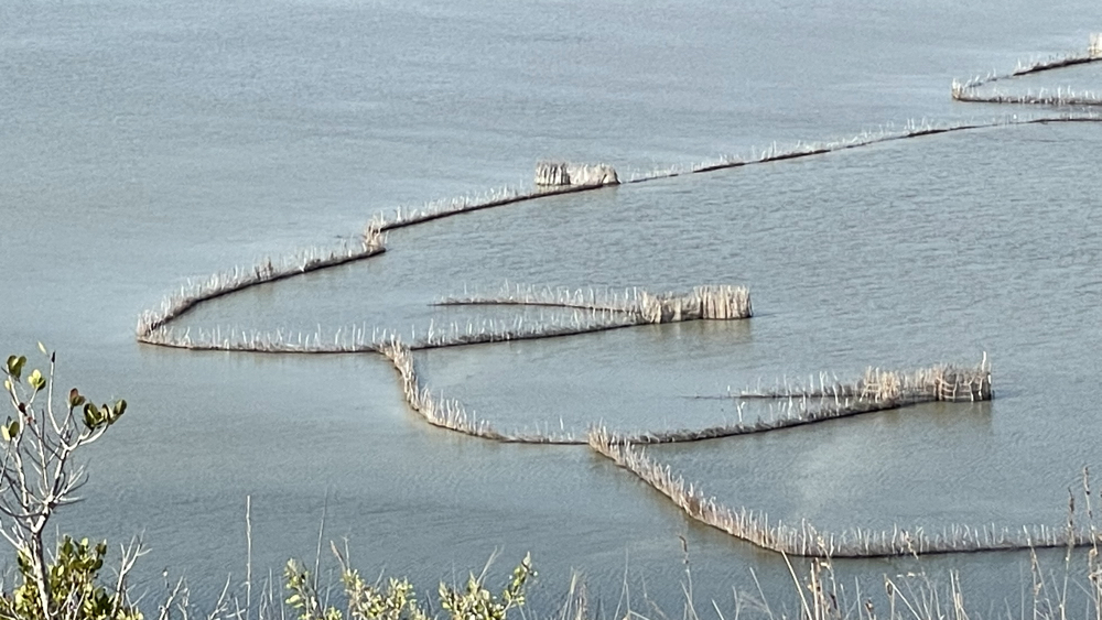 Fish traps in the lagoon.