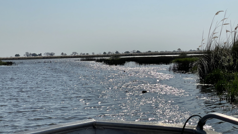 The sun shining on a wider channel as we approached a lagoon.
