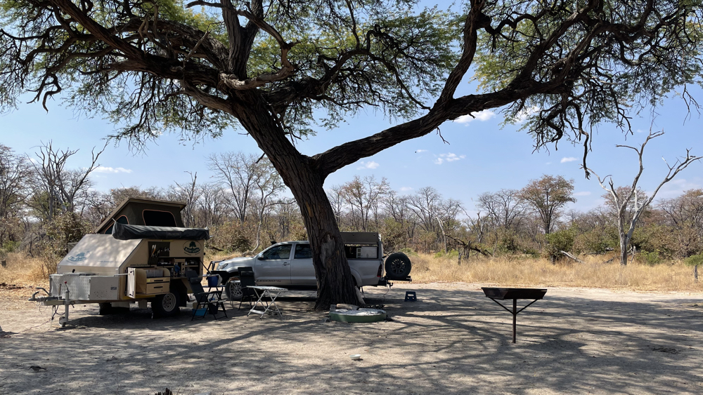 Our campsite under a large shady tree.
