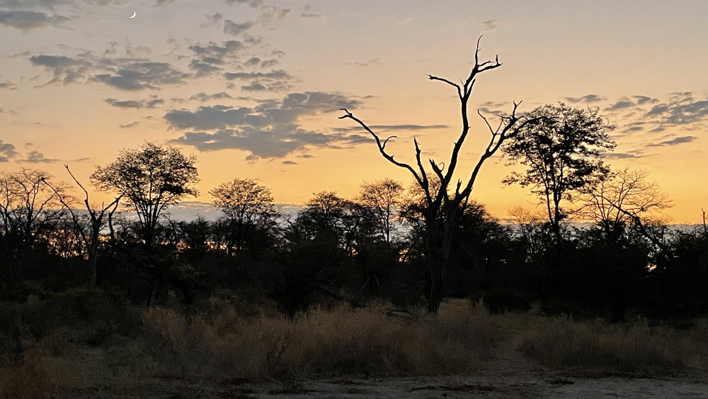 sunrise at our campsite.