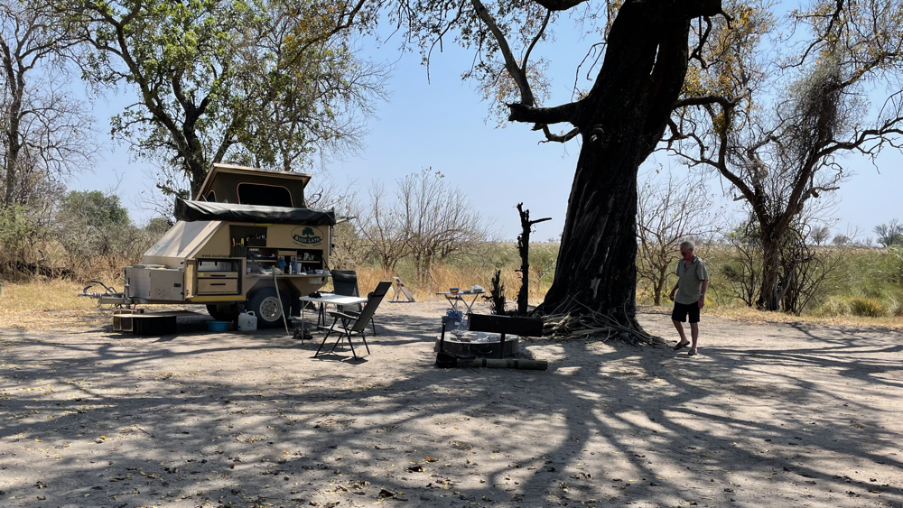 Our shady site under a large tree.
