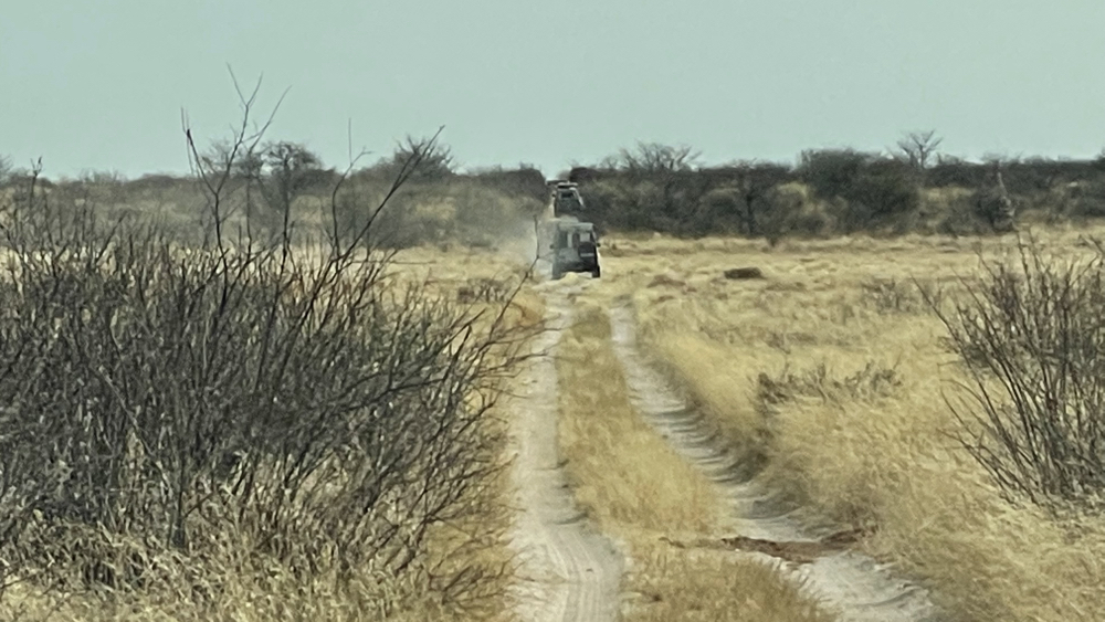  A sandy track through the bush. 