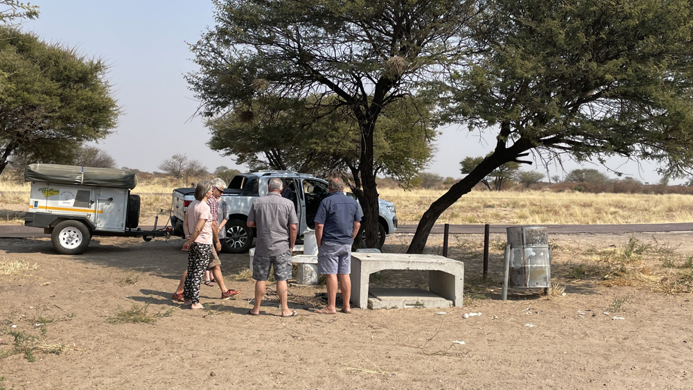A lunch stop next to the road.
