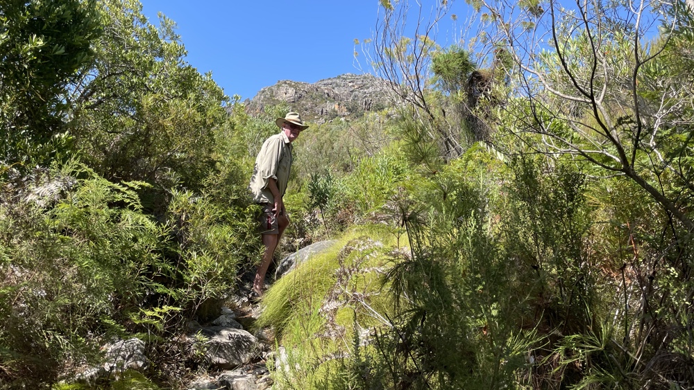 Kevin on a narrow path amongst the shrubs and trees.