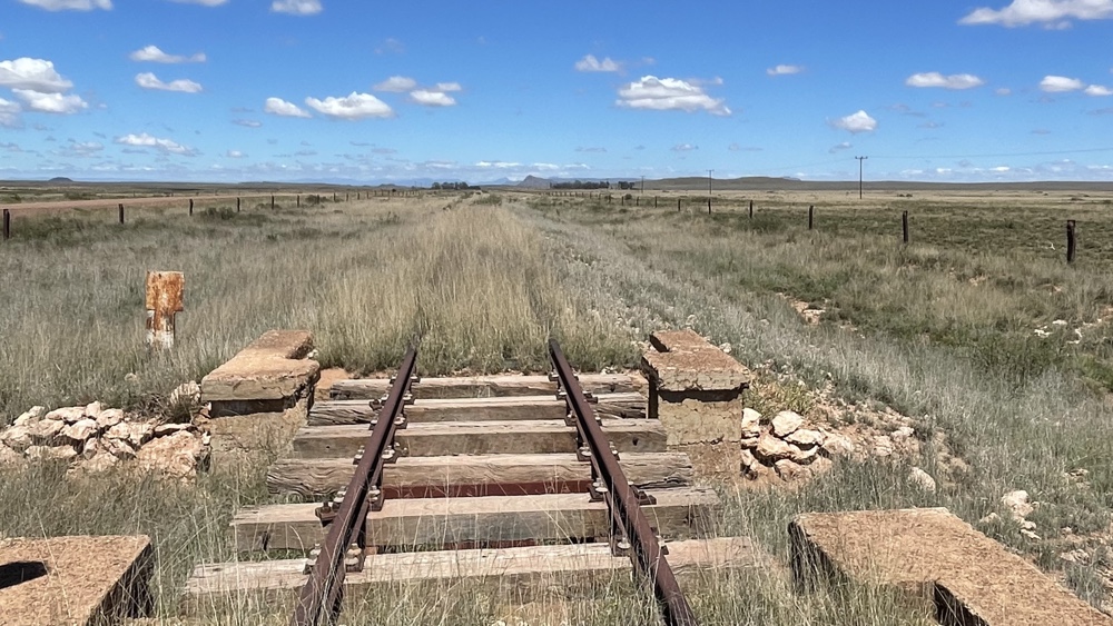 Old railway track partly covered in grass.