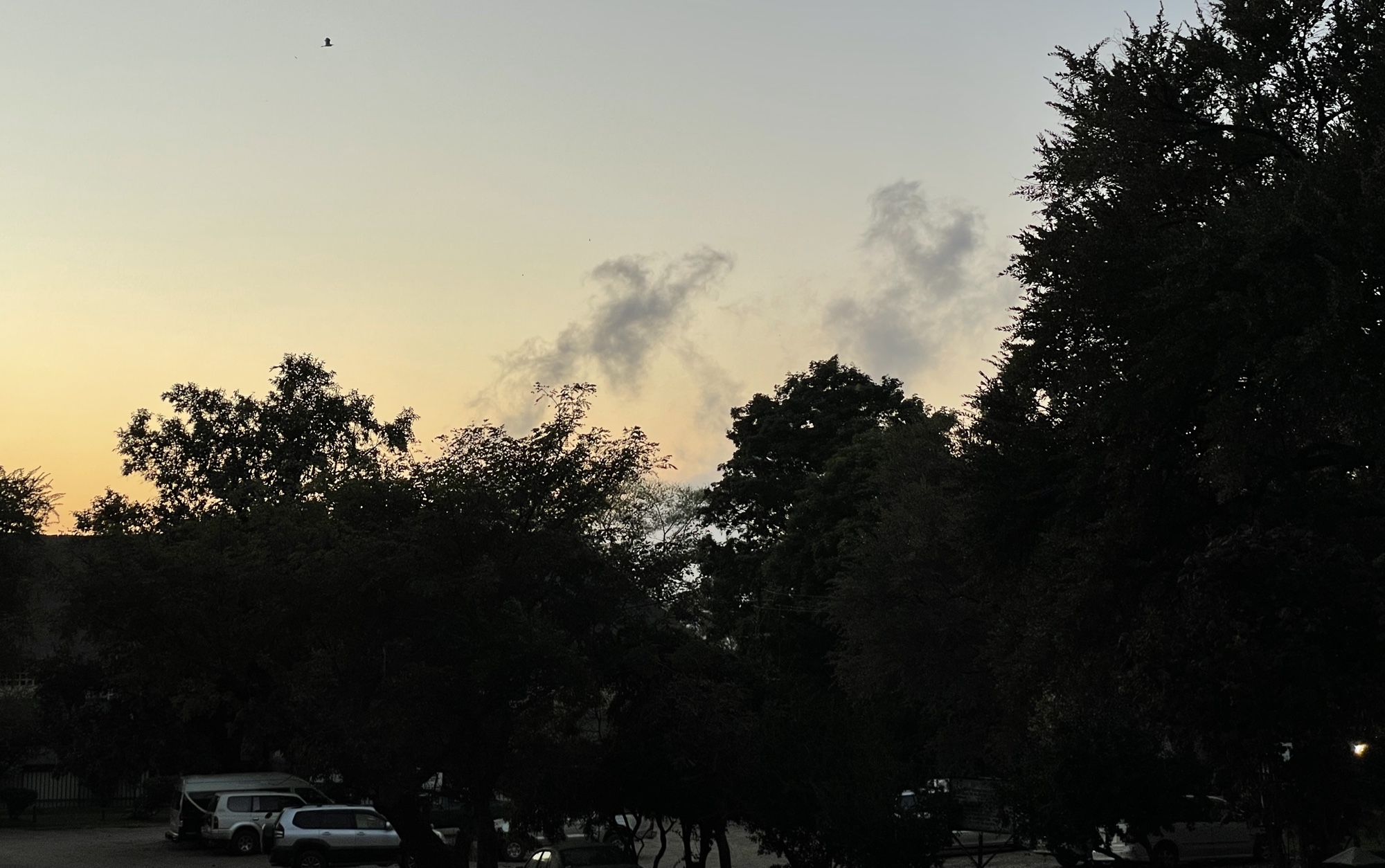 Early morning sight from the campsite with the 'smoke' from the Falls visable above the trees.