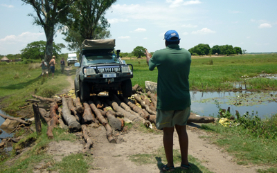 Adult cheetah lying down near our vehicle.